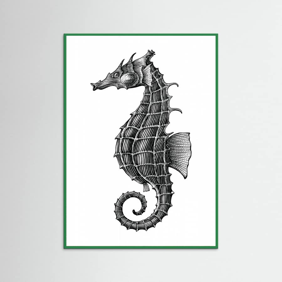 Affiche Seahorse – affiche et impression d’art