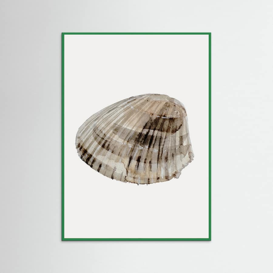 Poster Seashell – poster e stampa artistica