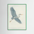 Green Wood Serene Flight