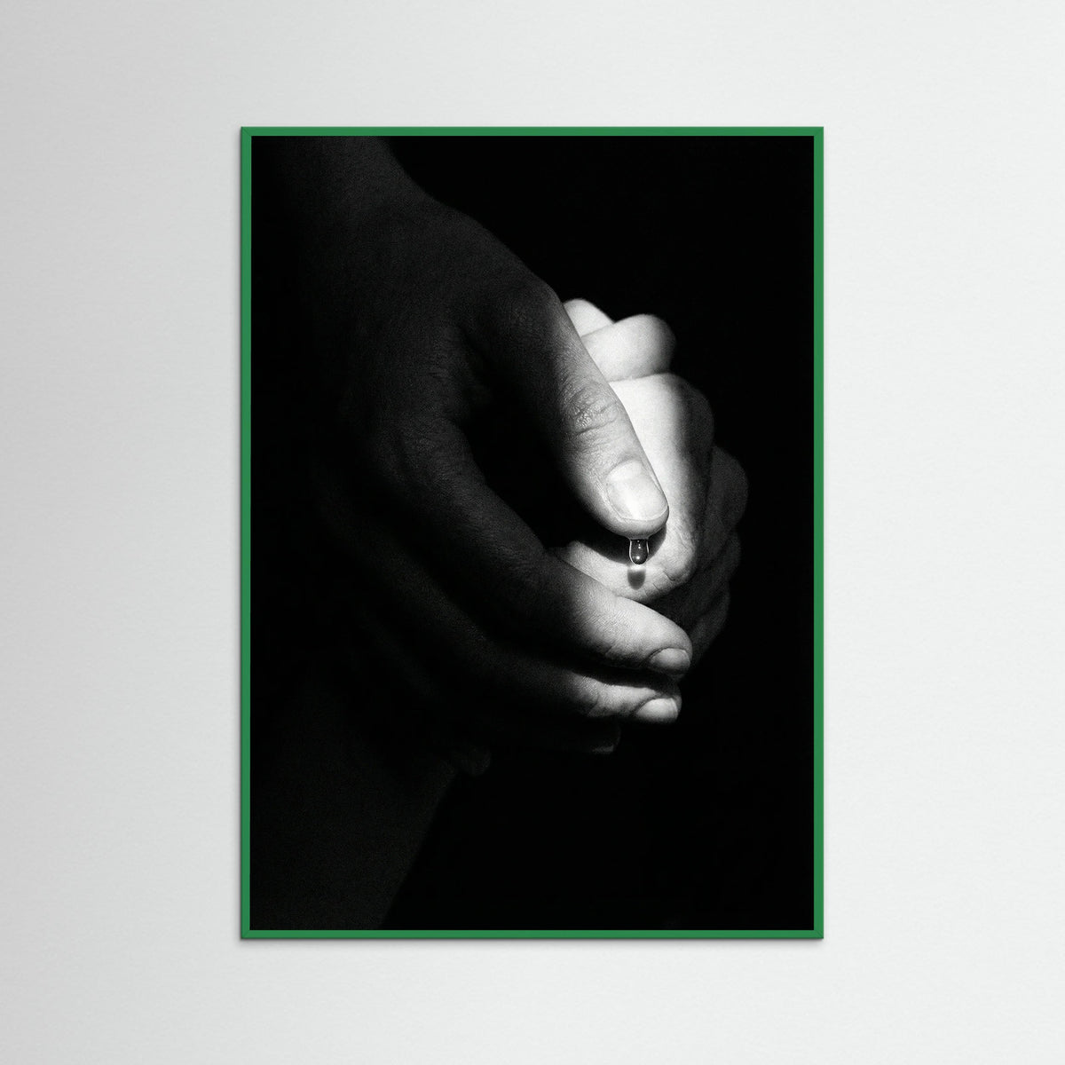 Green Wood Shadowed Embers