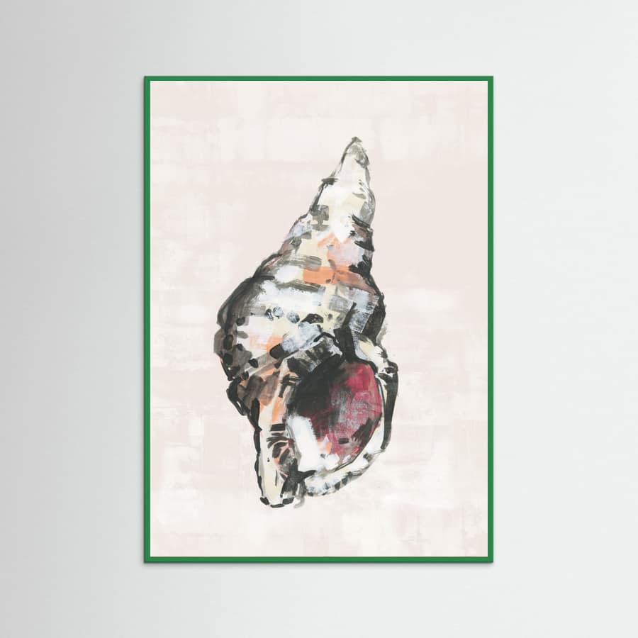 Plakat Shell Collector Art Print No 2 – plakat i druk artystyczny