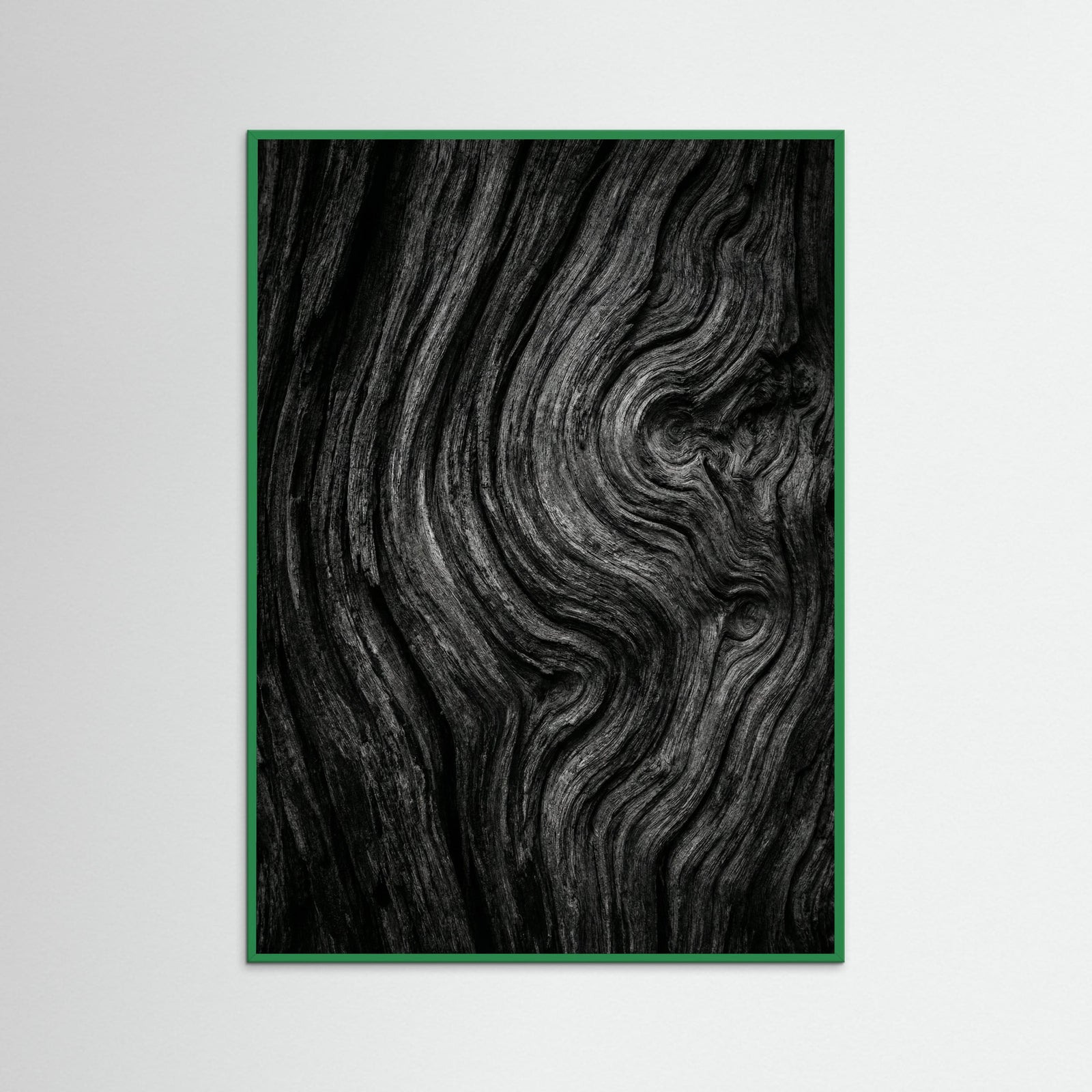 Green Wood Silent Leaves