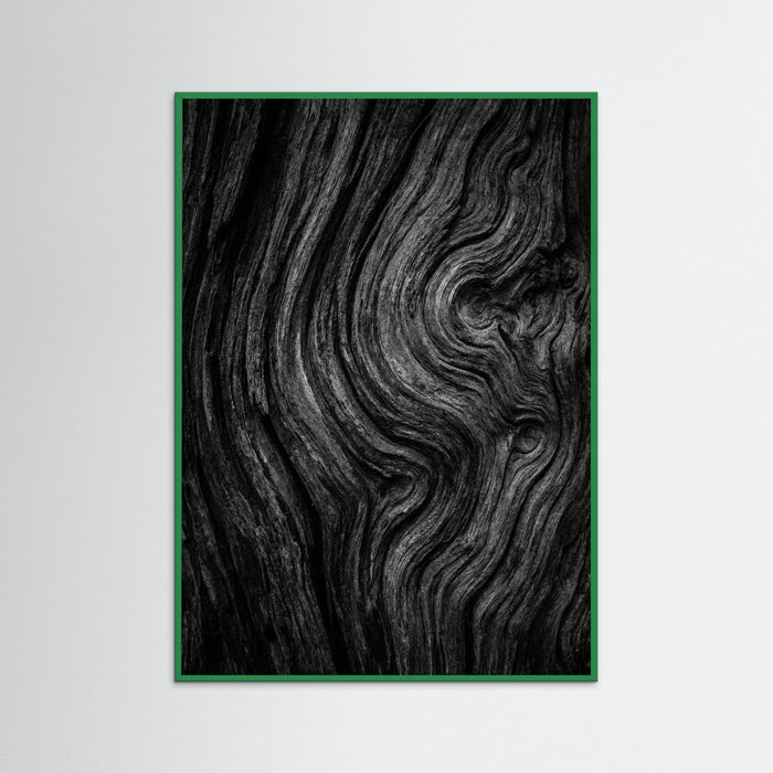 Green Wood Silent Leaves