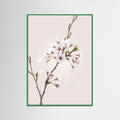 Green Wood Soft Bloom