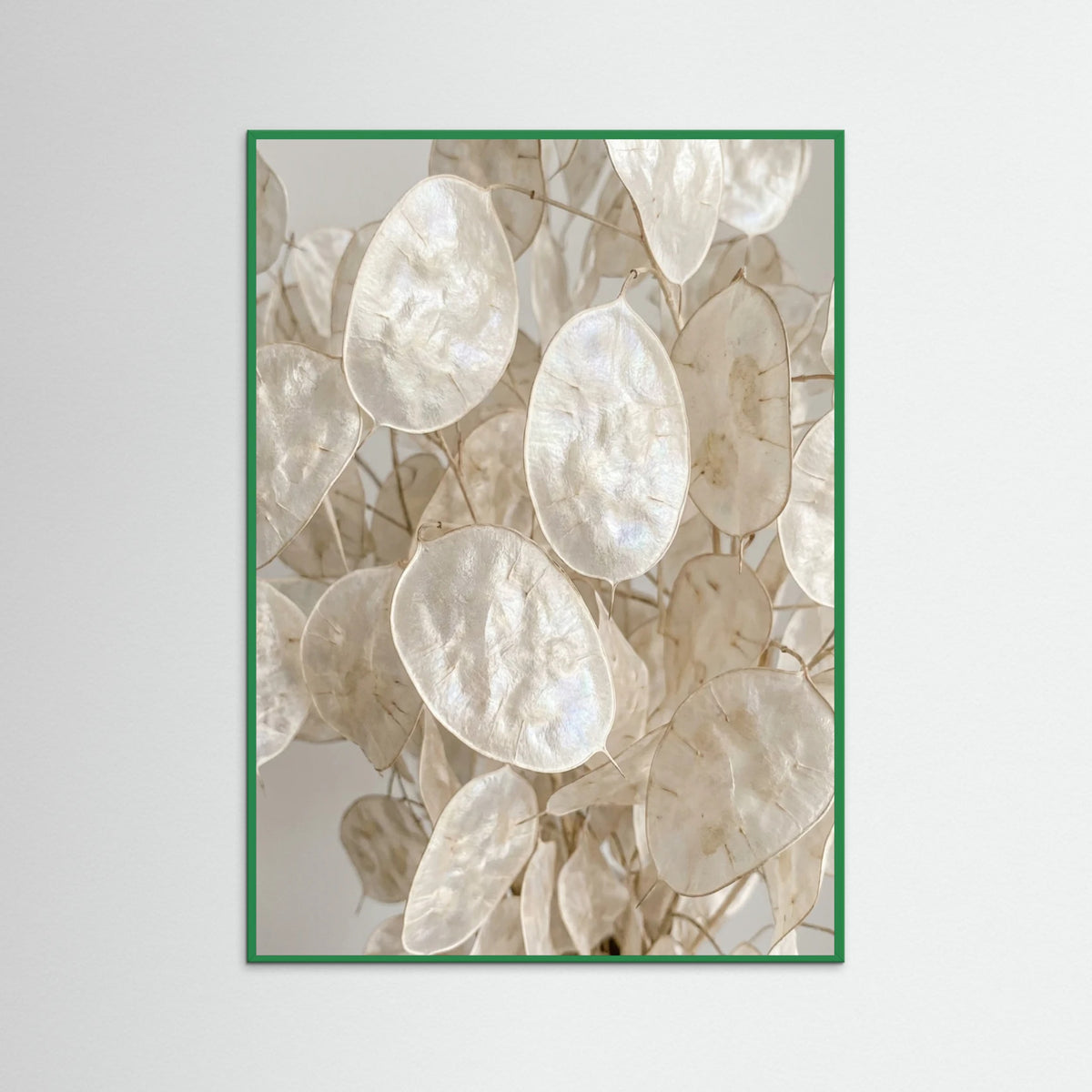 Green Wood Soft Petal Dreams