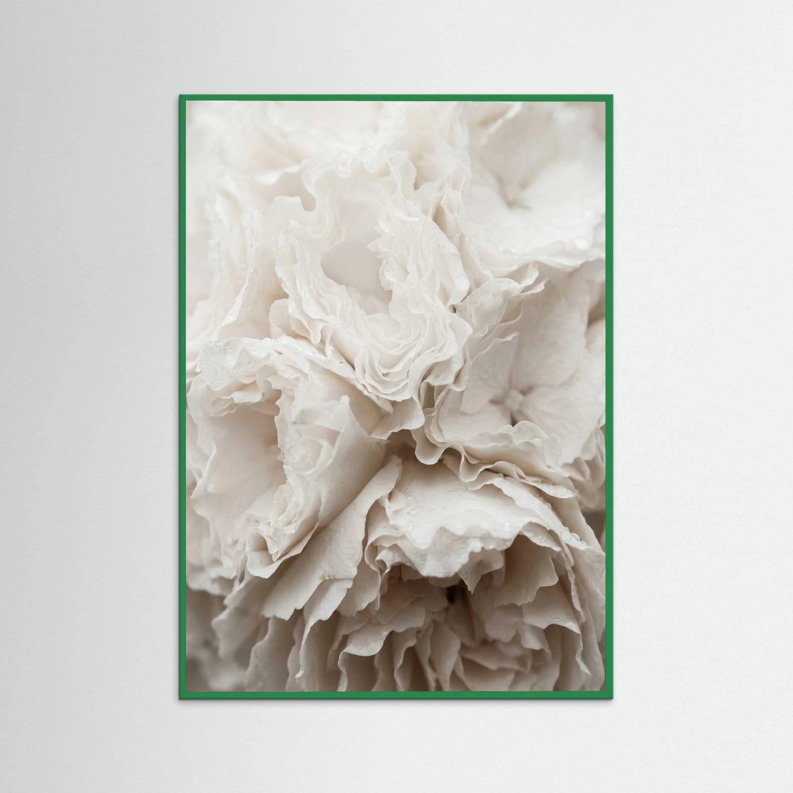 Green Wood Soft Petals White