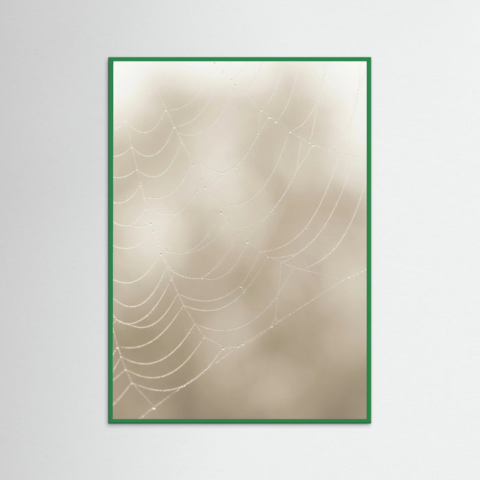 Green Wood Soft Plume