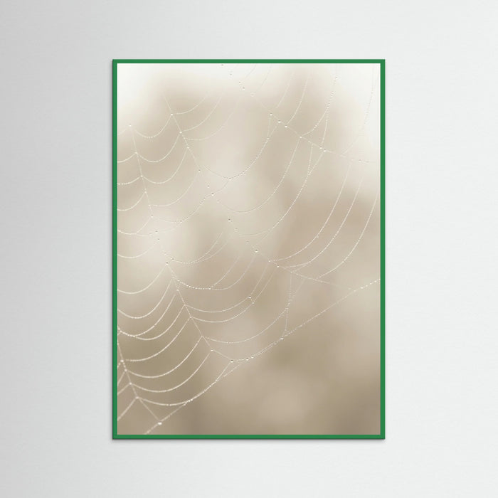 Green Wood Soft Plume