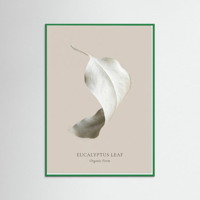 Green Wood Soft Radiance