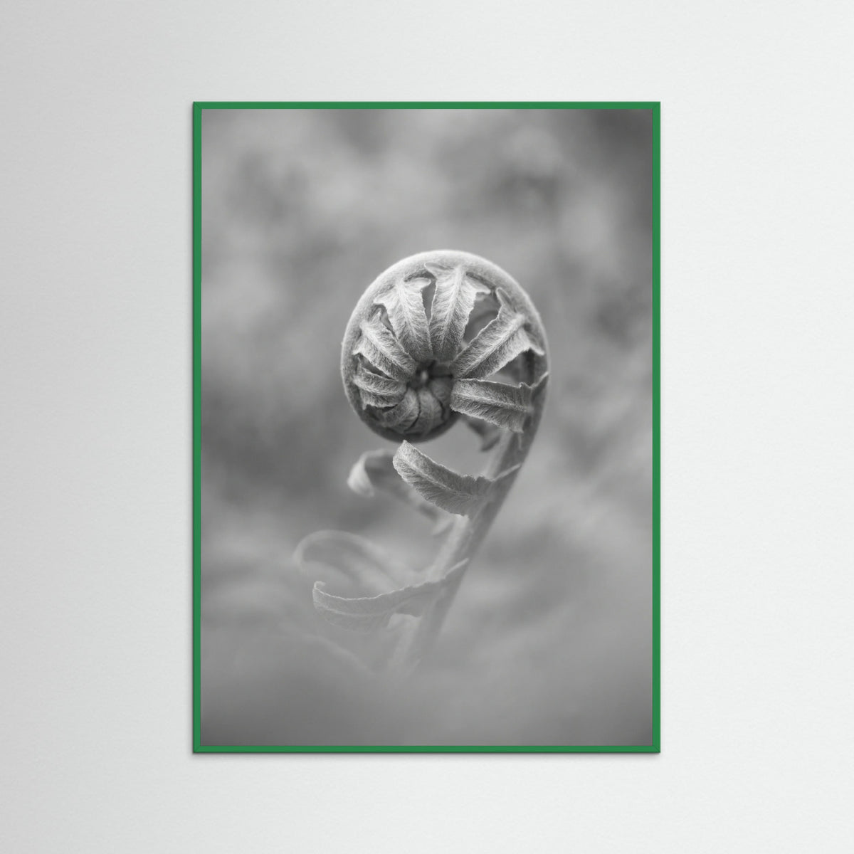 Green Wood Solitary Bloom