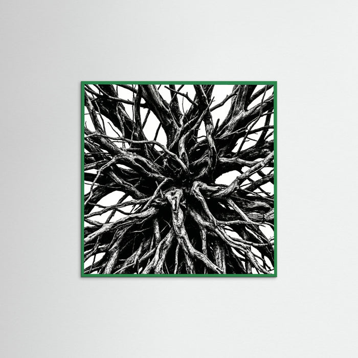 Green Wood Square Dense Thicket