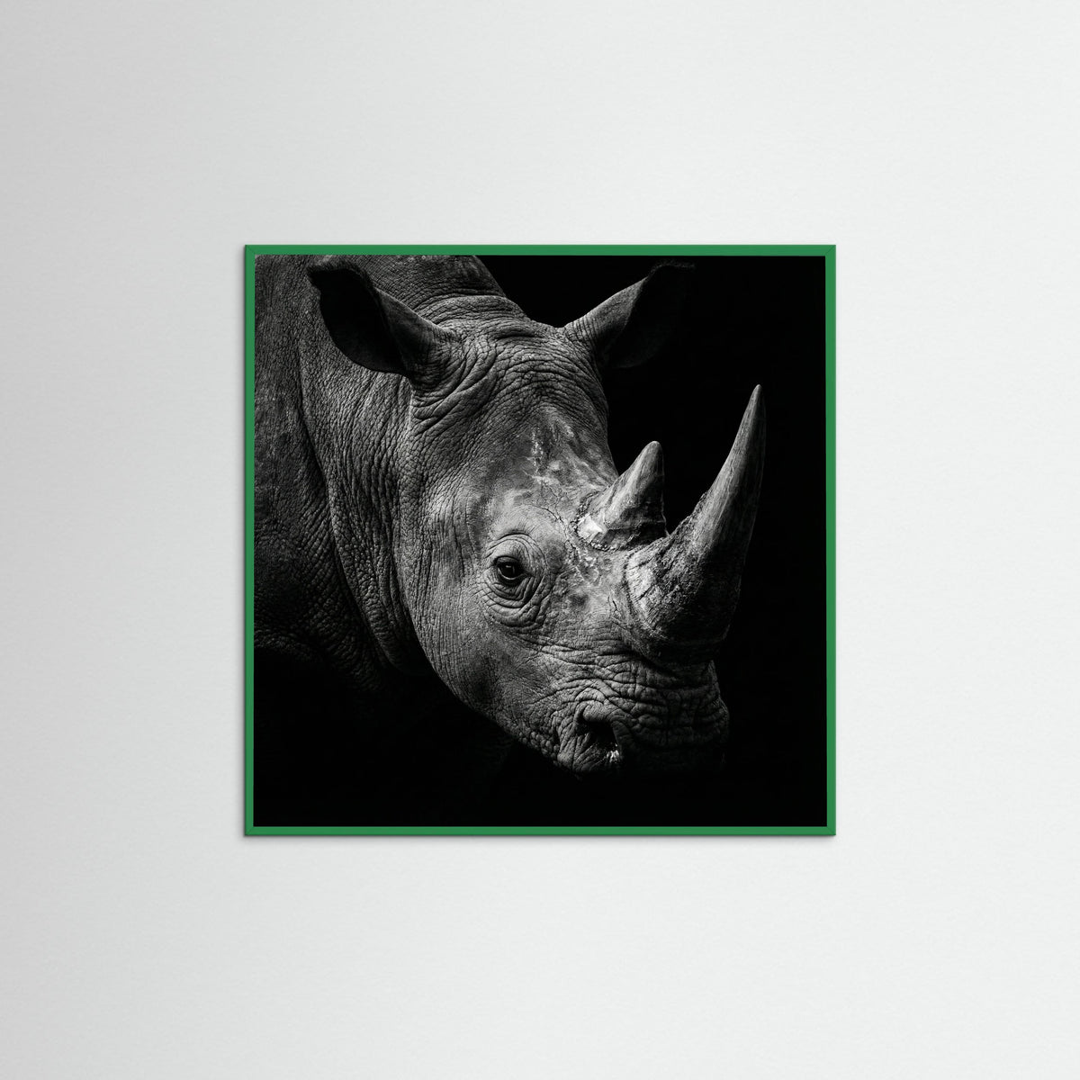 Green Wood Square Gentle Giant