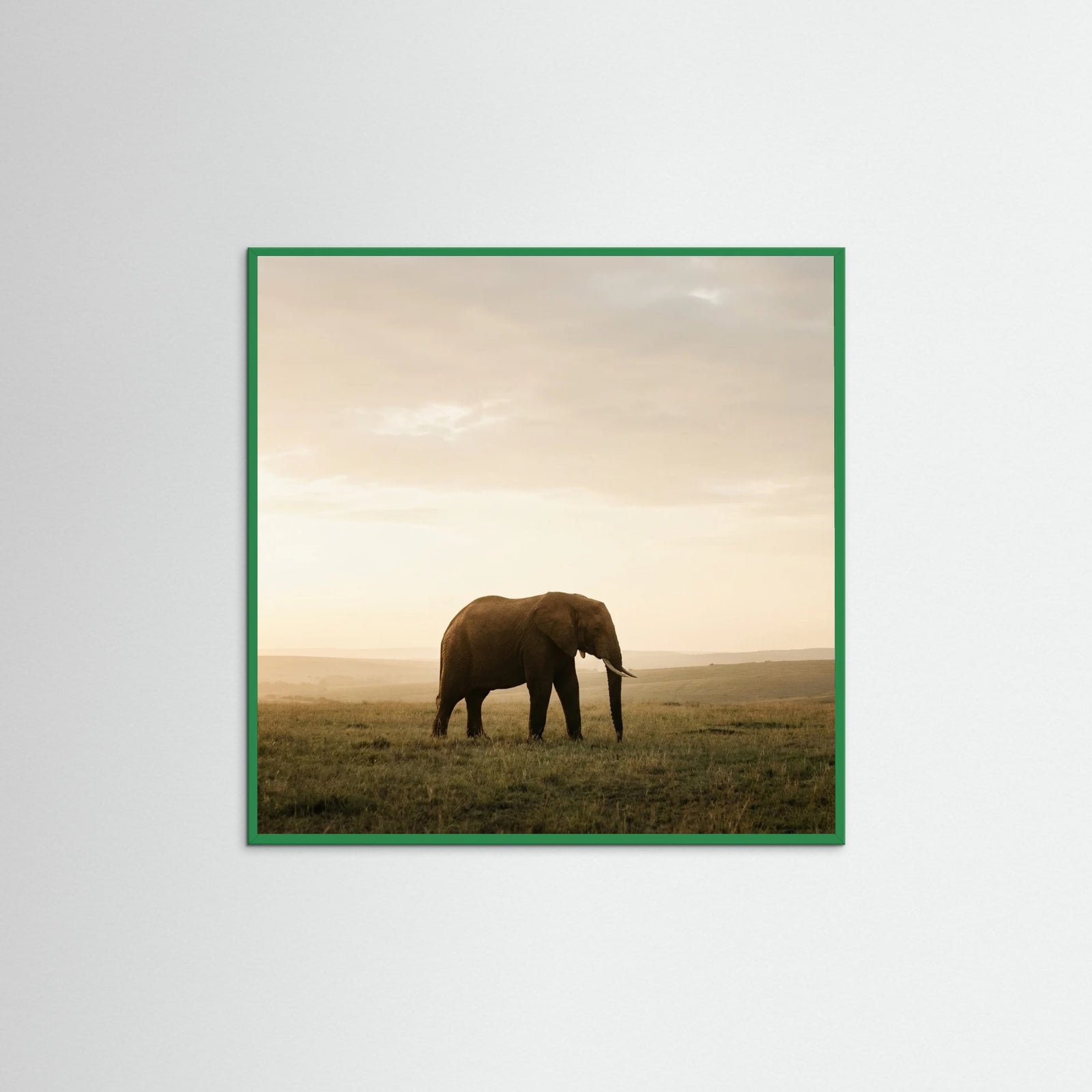 Green Wood Square Golden Savannah Solitude