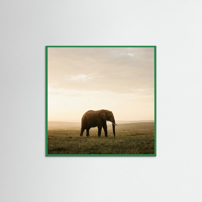 Green Wood Square Golden Savannah Solitude