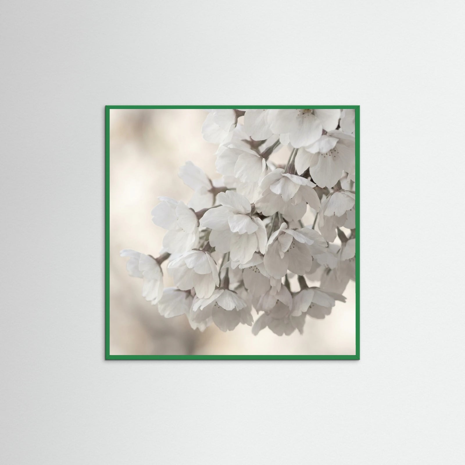 Green Wood Square White Bloom Serenity