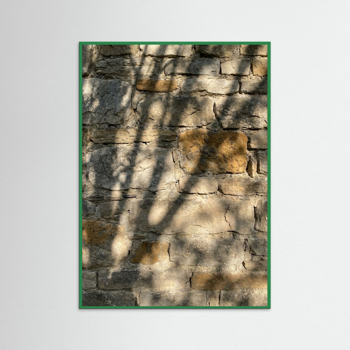 Green Wood Sun Dappled