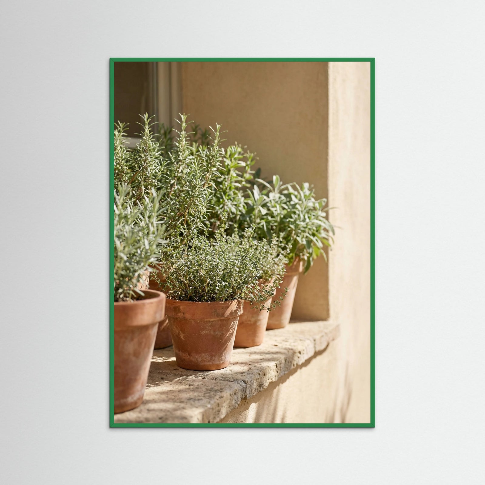 Green Wood Sunlit Olive