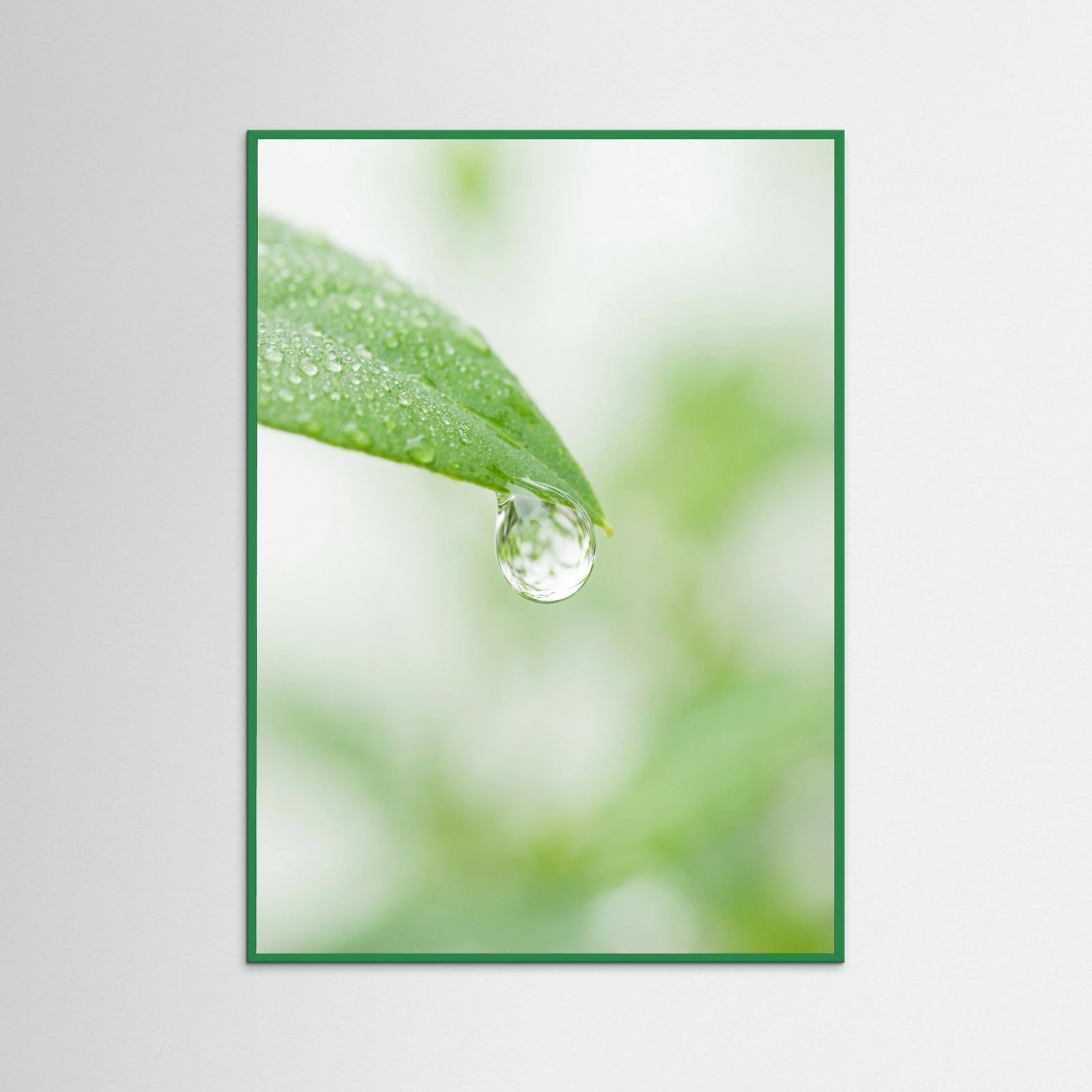 Green Wood Tiny Hope