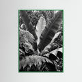 Green Wood Tropical Canopy