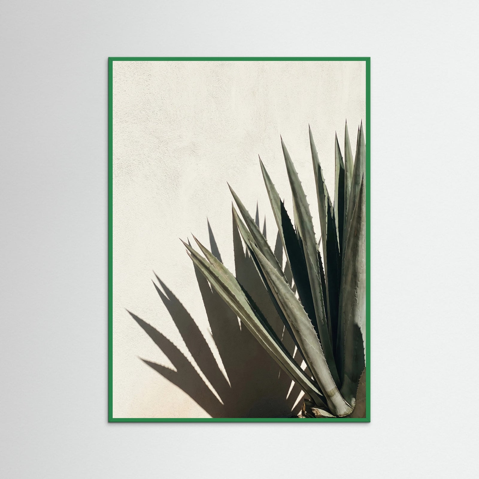 Green Wood Tropical Shadows