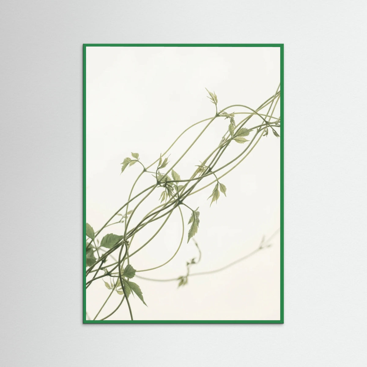 Green Wood Verdant Calm