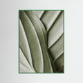 Green Wood Verdant Folds