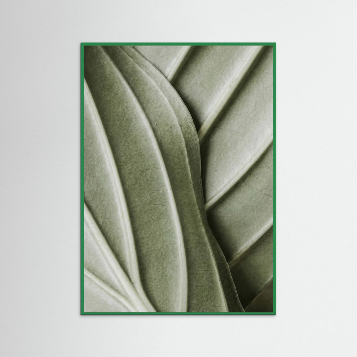 Green Wood Verdant Folds