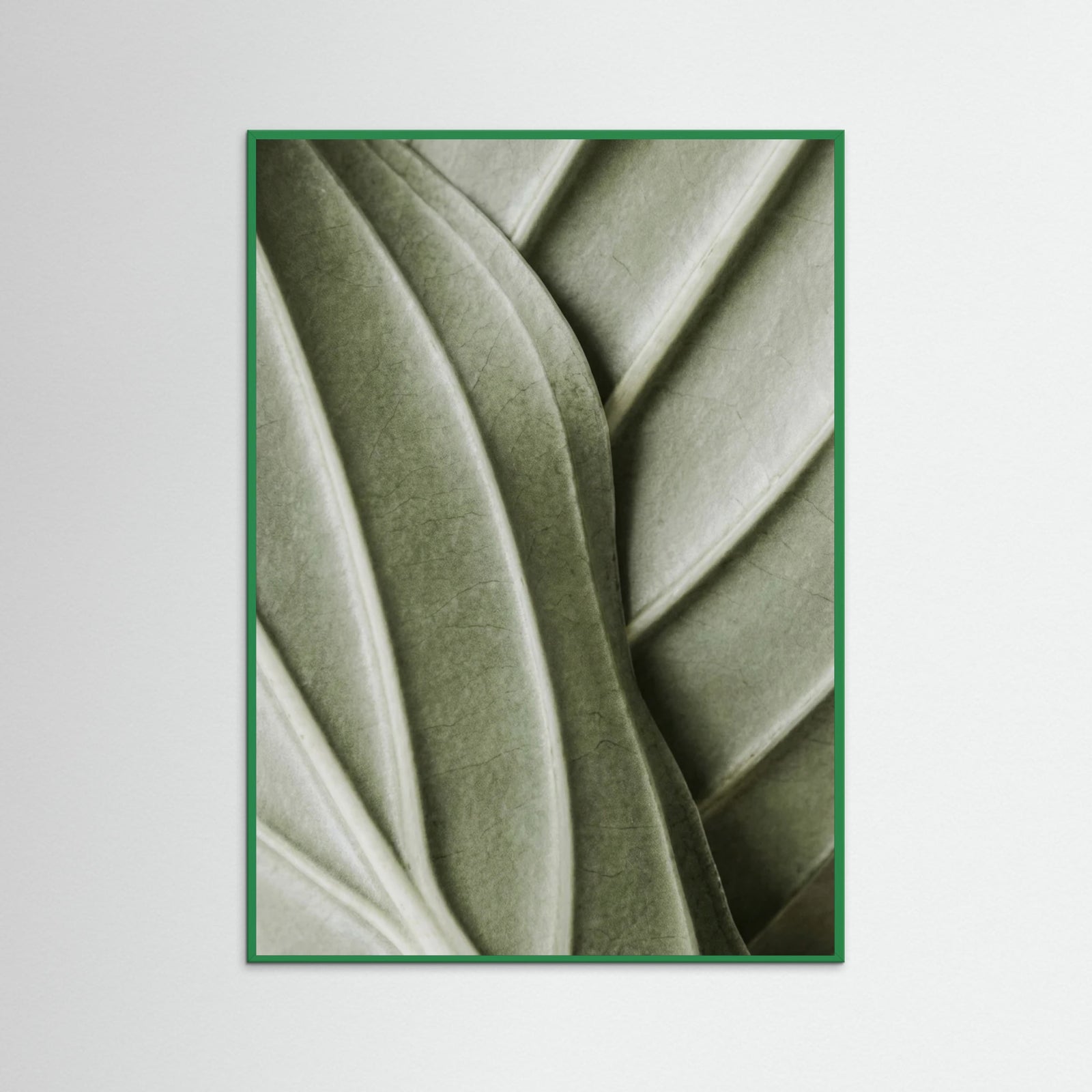 Green Wood Verdant Folds