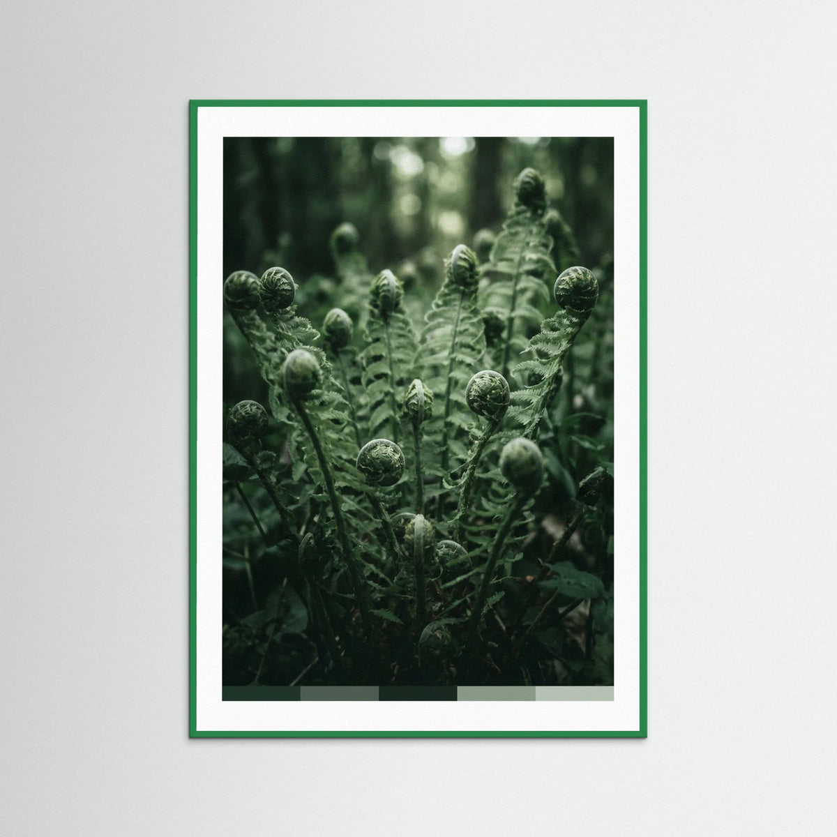 Green Wood Verdants Depths