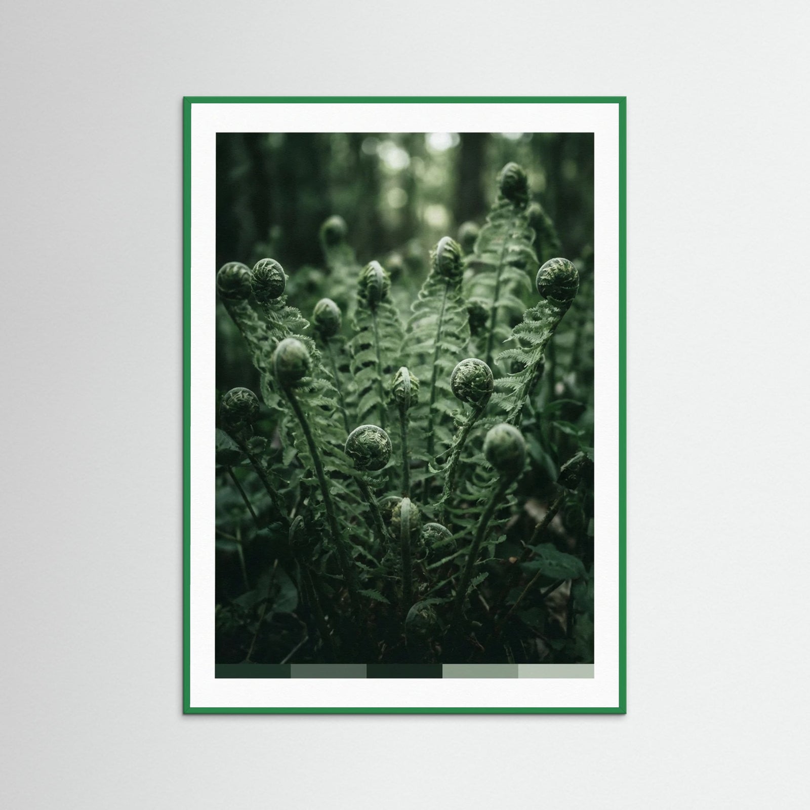 Green Wood Verdants Depths
