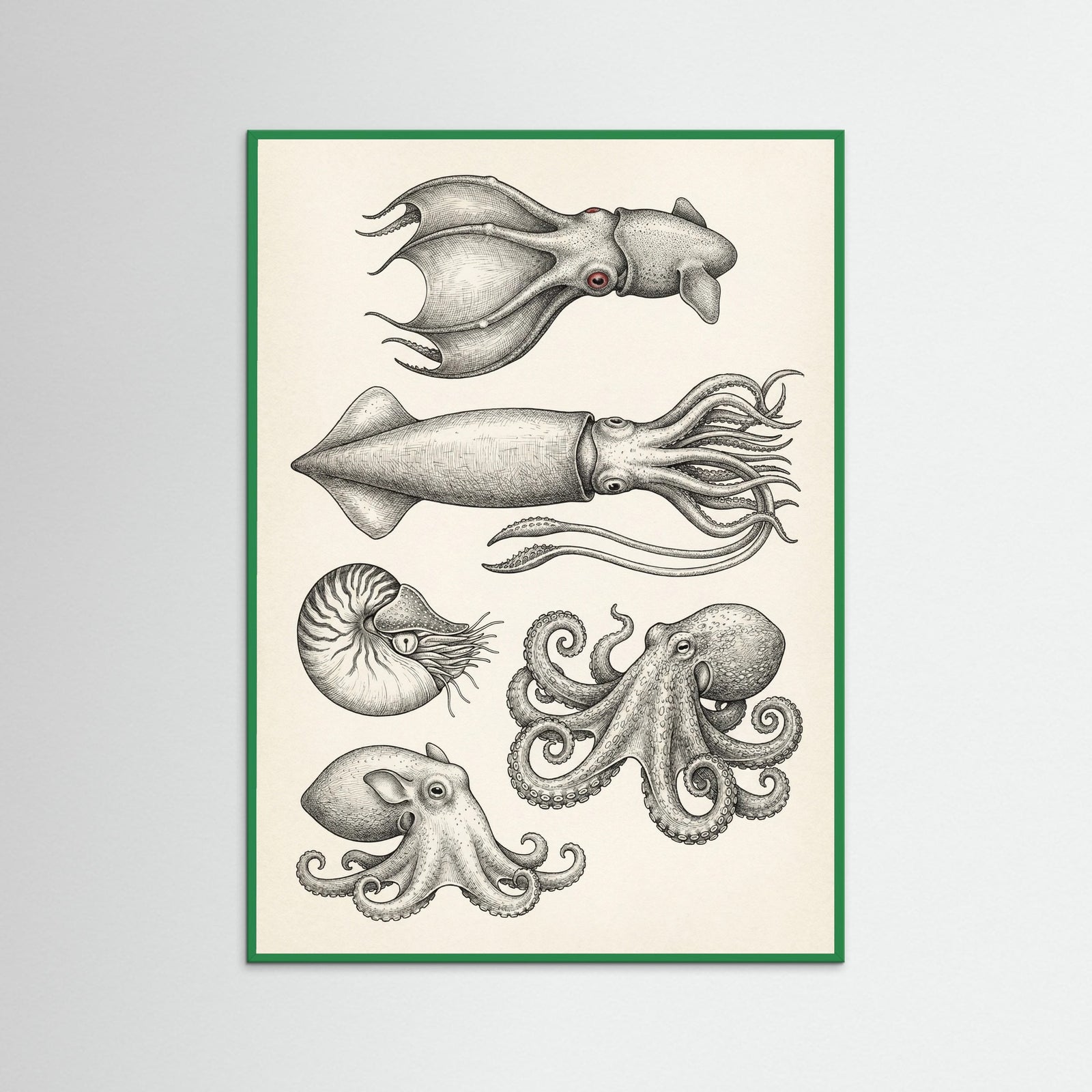 Green Wood Vintage Shark Study