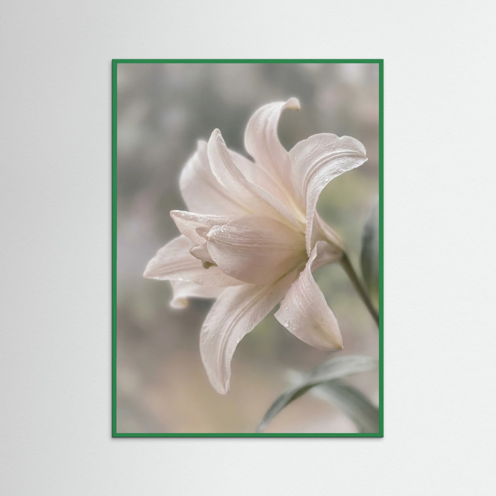 Green Wood Whispering Lavenders