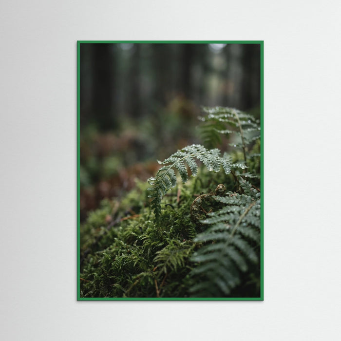 Green Wood Whispering Meadow