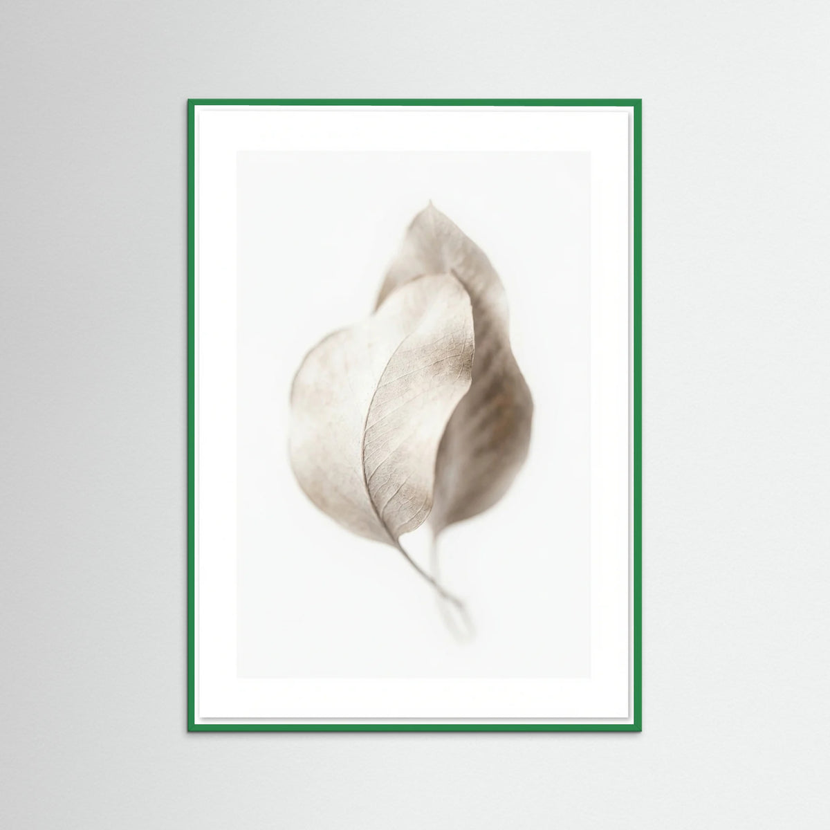 Green Wood Whispering Plumes