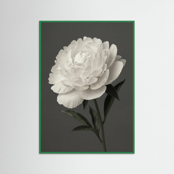 Green Wood White Iris Grace