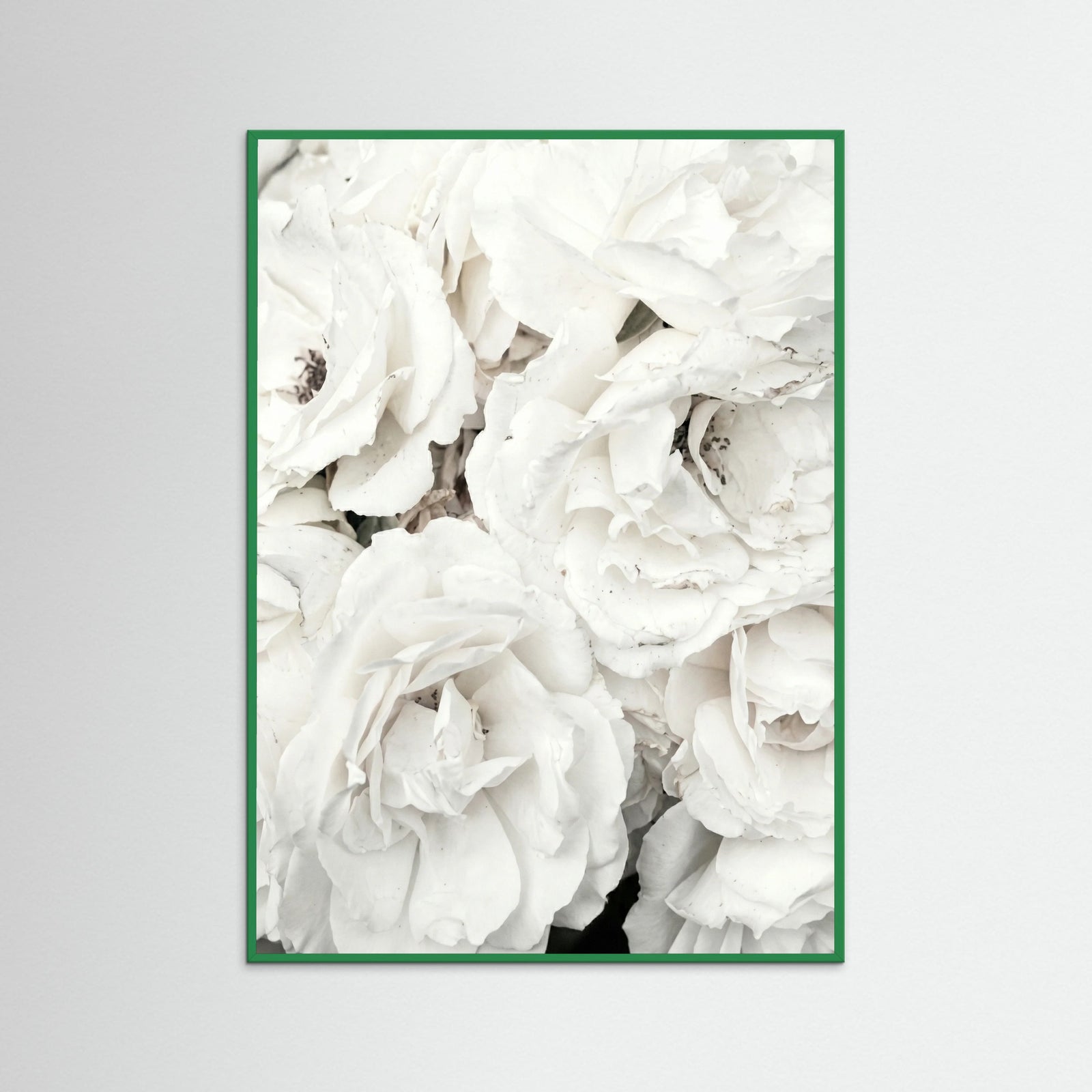 Green Wood White Petal Embrace