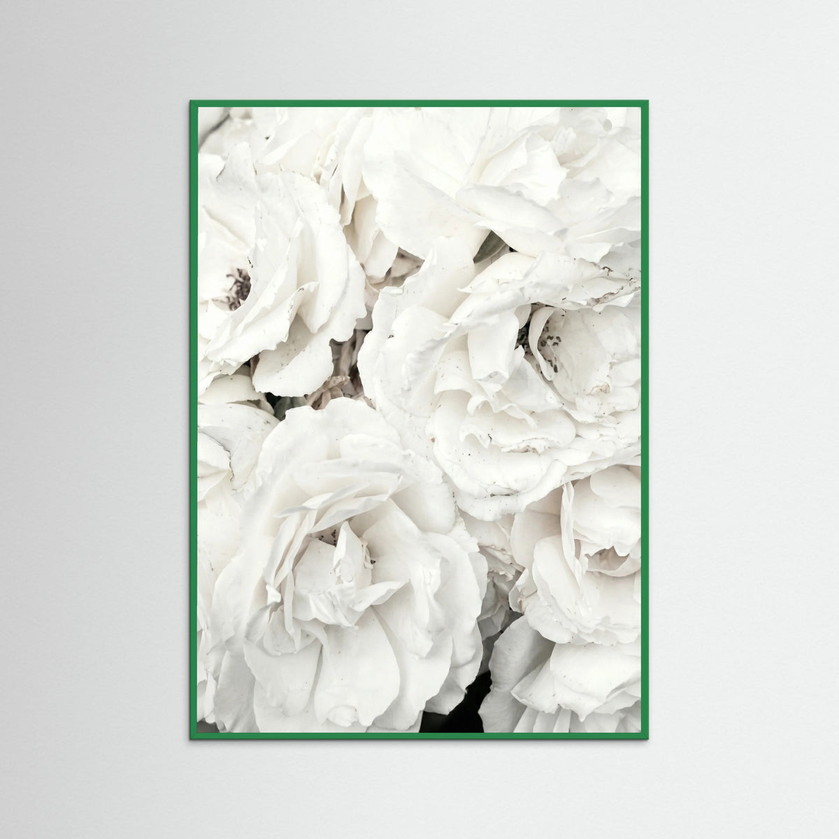 Green Wood White Petal Embrace