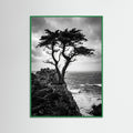 Green Wood Windblown Grace