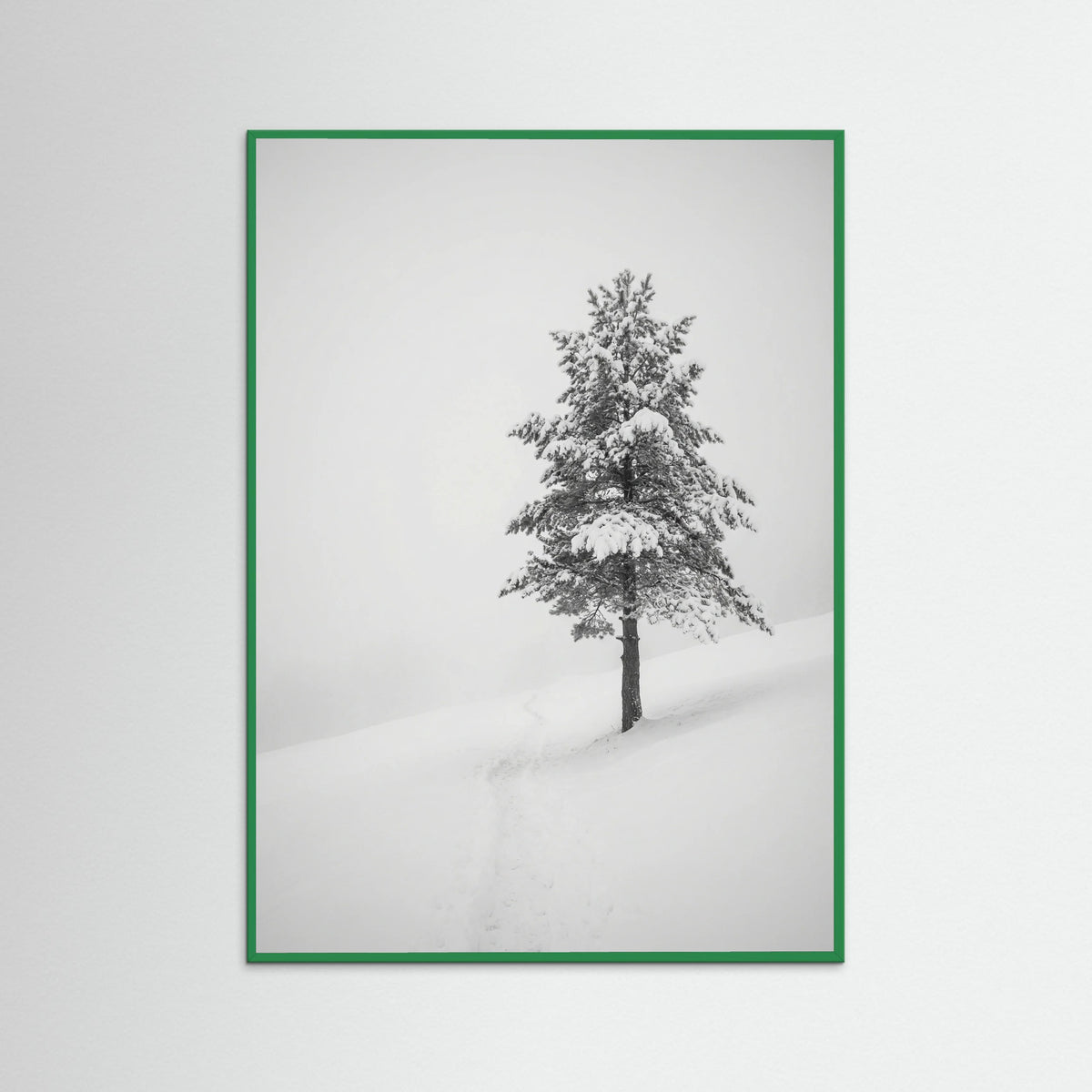 Green Wood Winter Ascent