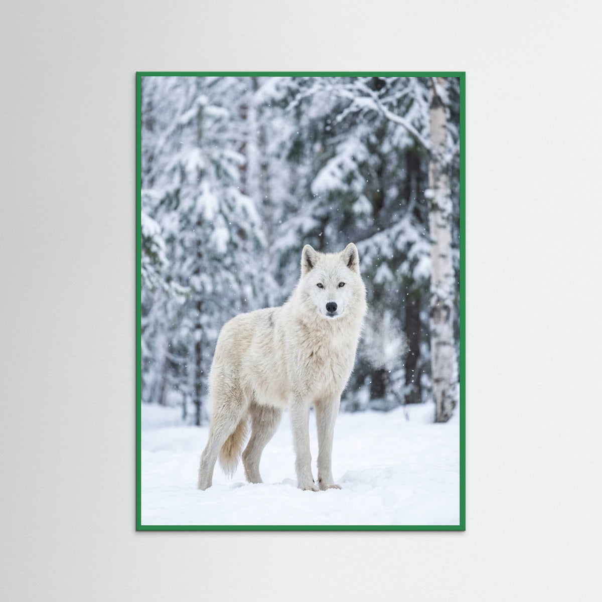 Green Wood Winter Majesty