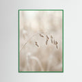 Green Wood Winter Whispers