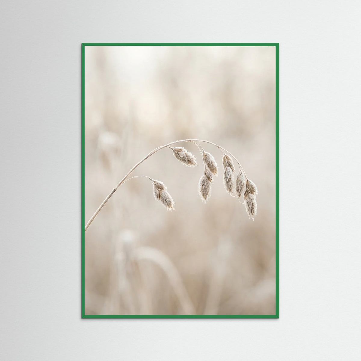 Green Wood Winter Whispers