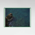 seascape and rocks Poster – plakat og kunsttryk