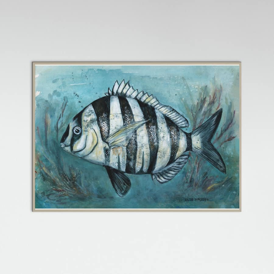 240 Zebra Master Poster – Poster und Kunstdruck