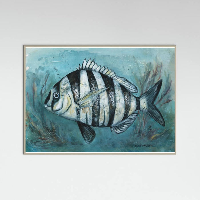 240 Zebra Master Poster – Poster und Kunstdruck
