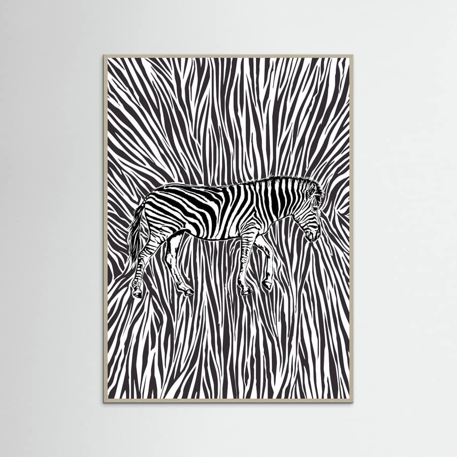 African Zebra striking camouflage -juliste – juliste ja taidepainatus