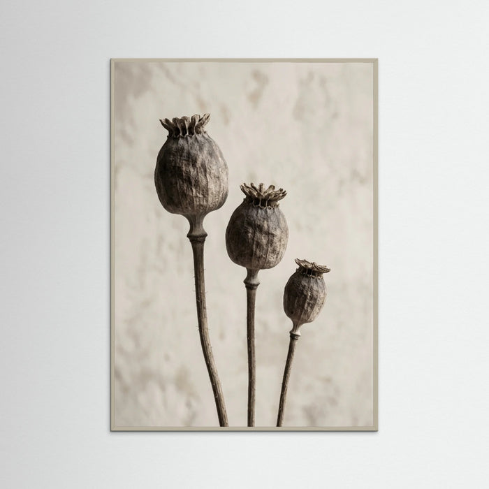Grey Wood Aged Botanica