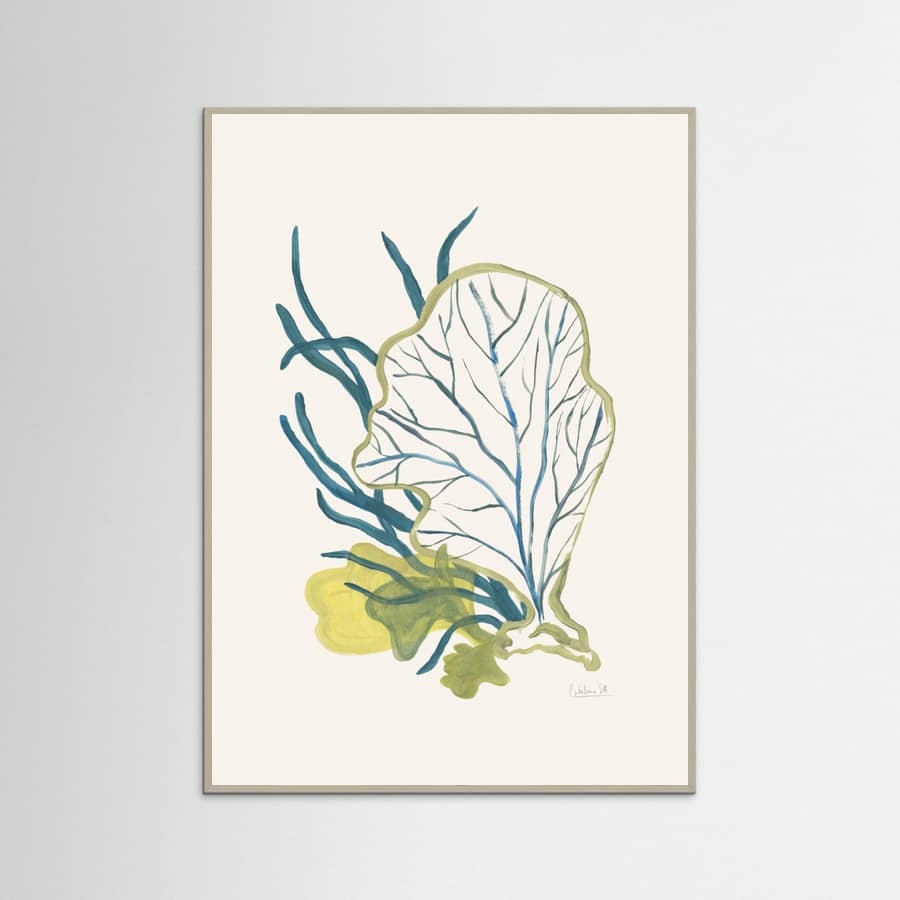 Algae No1 Poster – poster and art print
