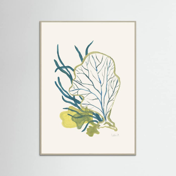 Algae No1 -juliste – juliste ja taidepainatus