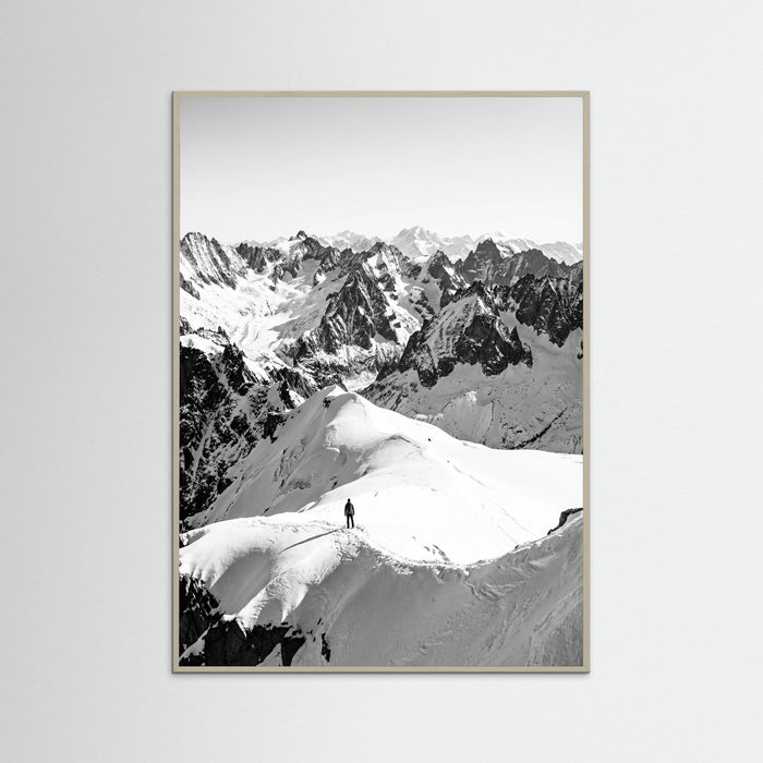 Grey Wood Alpine Solitude
